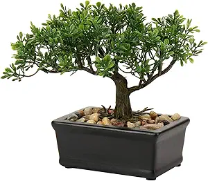 Artificial Bonsai Tree Juniper Faux Plants Indoor Small Fake Plants Decor with Ceramic Pots for Home Table Office Desk Bathroom Shelf Bedroom Living Room Farmhouse Decorations